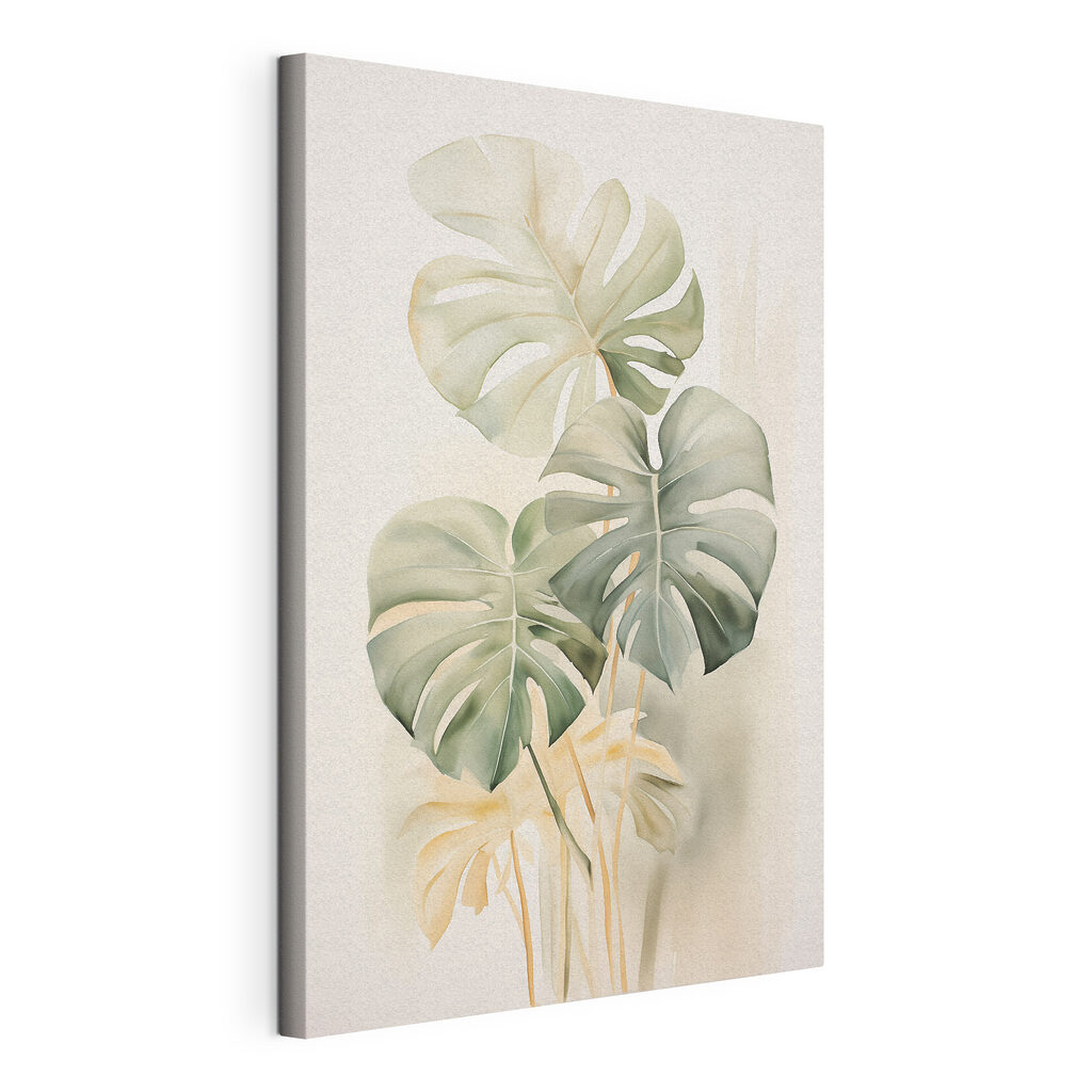 Monstera dalle foglie chiare, tela tesa e bordo avvolto