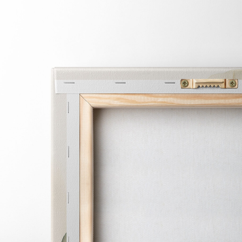 Monstera dalle foglie chiare — retro