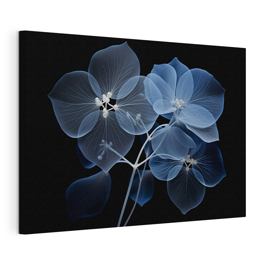 Fiori blu luminosi, tela tesa e bordo avvolto