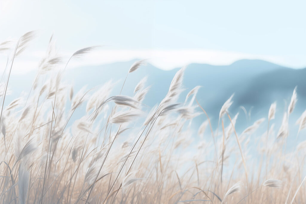 Erbe secche e montagne — design completo