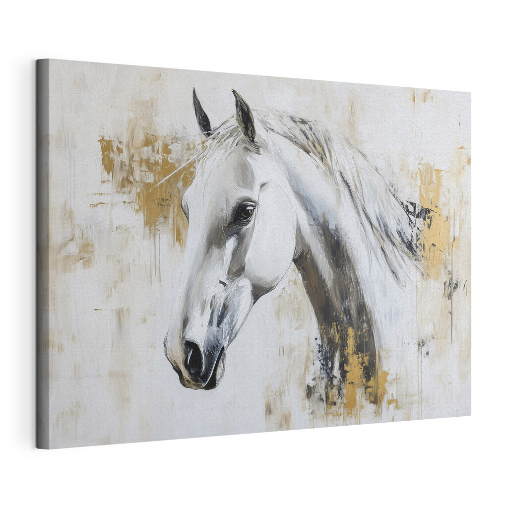 Testa di cavallo bianco, tela tesa e bordo avvolto