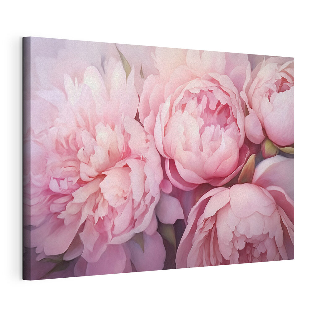 Peonie rosa in fiore, tela tesa e bordo avvolto