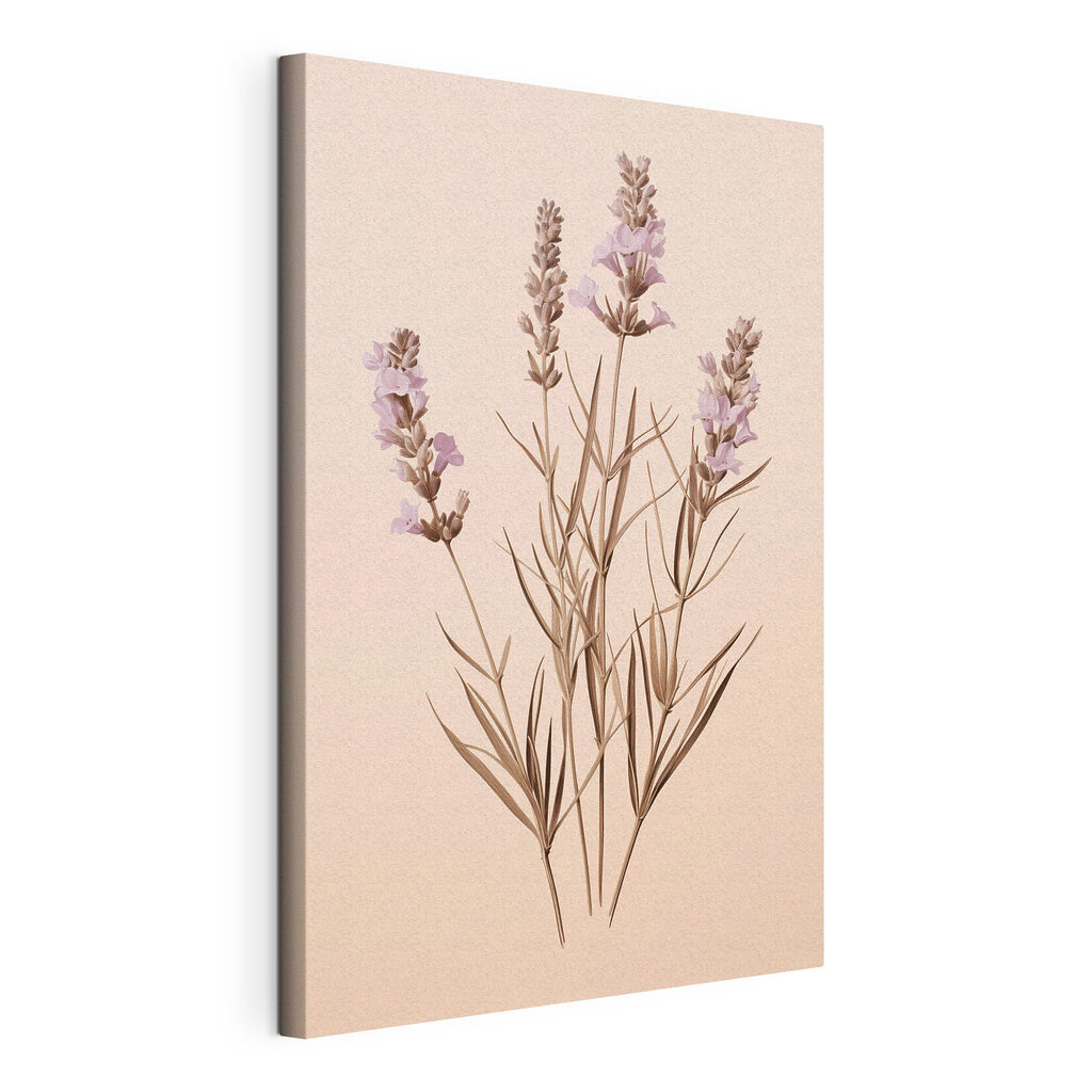 Lavanda su sfondo pesca, tela tesa e bordo avvolto