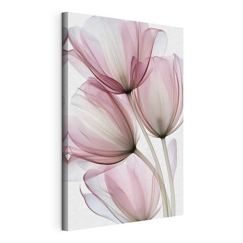 Tulipani rosa sovrapposti, tela tesa e bordo avvolto