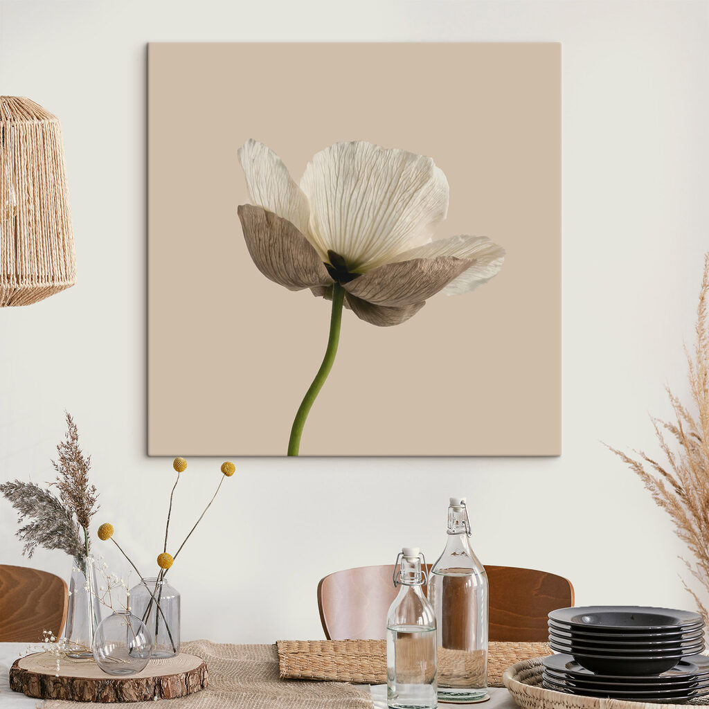 Fiore su stelo verde — ambiente 3