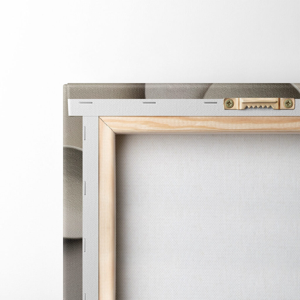 Foglie tonde in ombra — retro