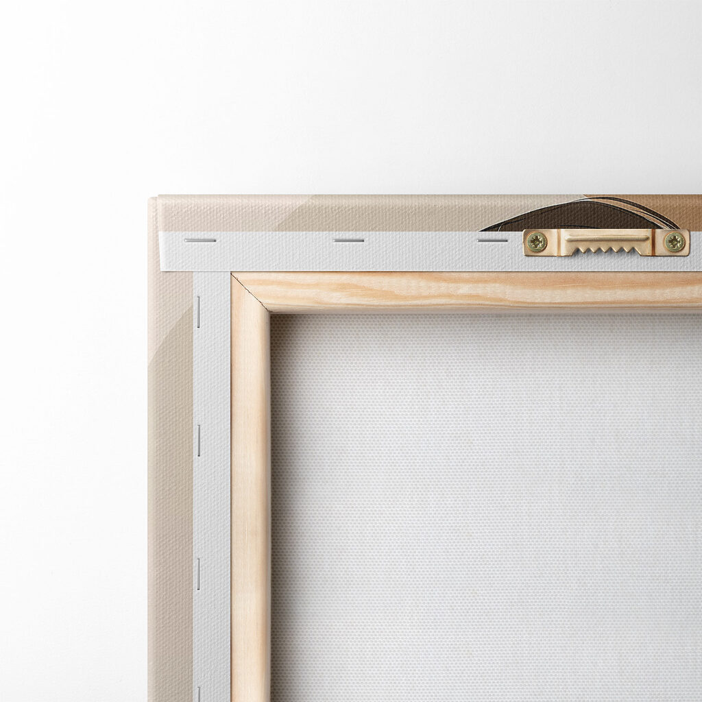 Schiena nuda e arco — retro