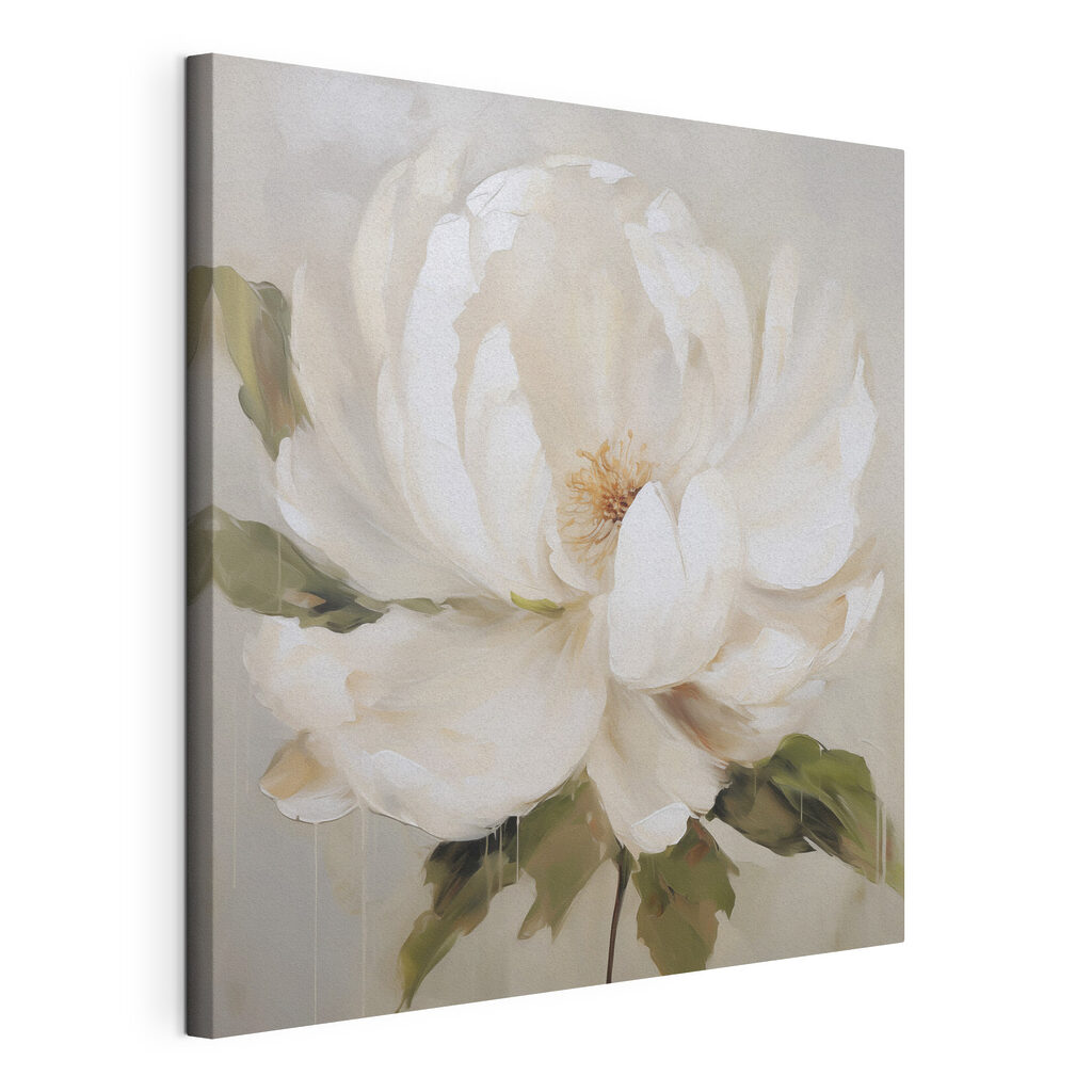 Peonia bianca a pennellate — vista del prodotto