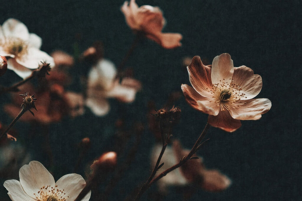 Fiori color ruggine — design completo