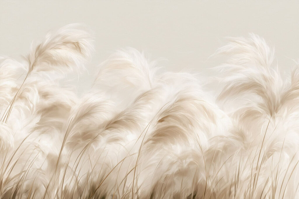 Piume bianche controluce — design completo