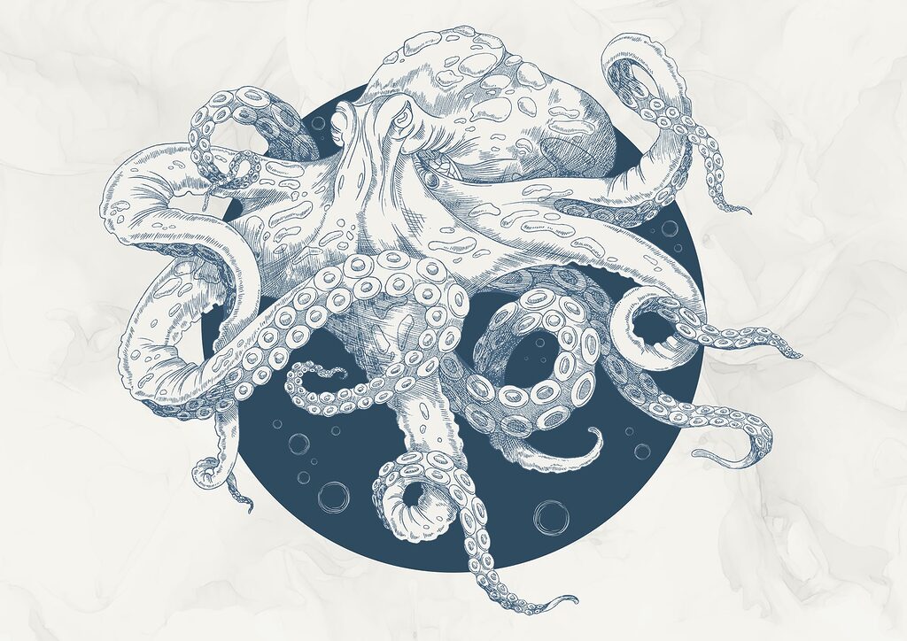 Polpo con tentacoli — design completo