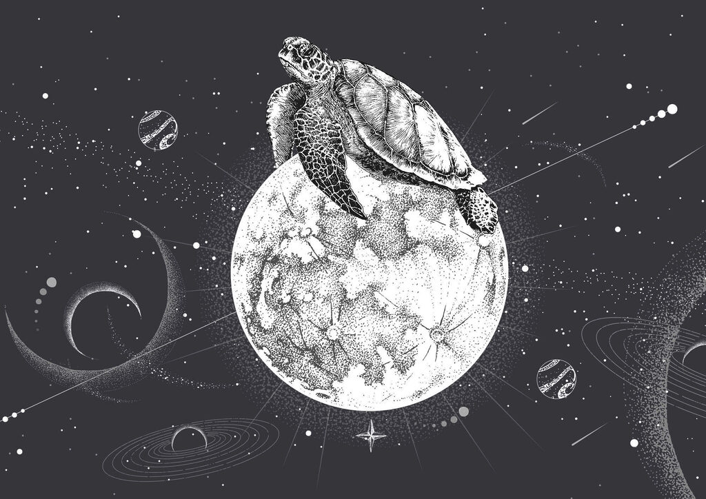 Tartaruga sulla luna — design completo