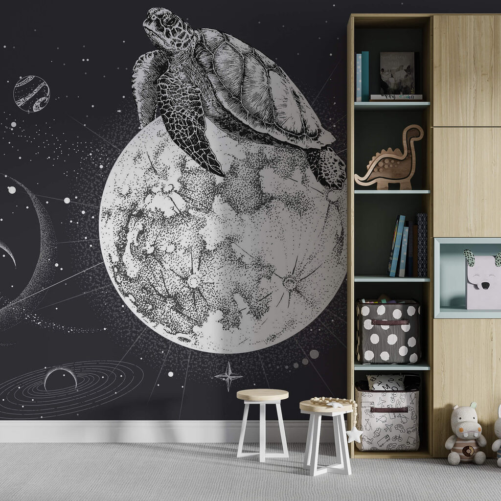 Tartaruga sulla luna — ambiente 2