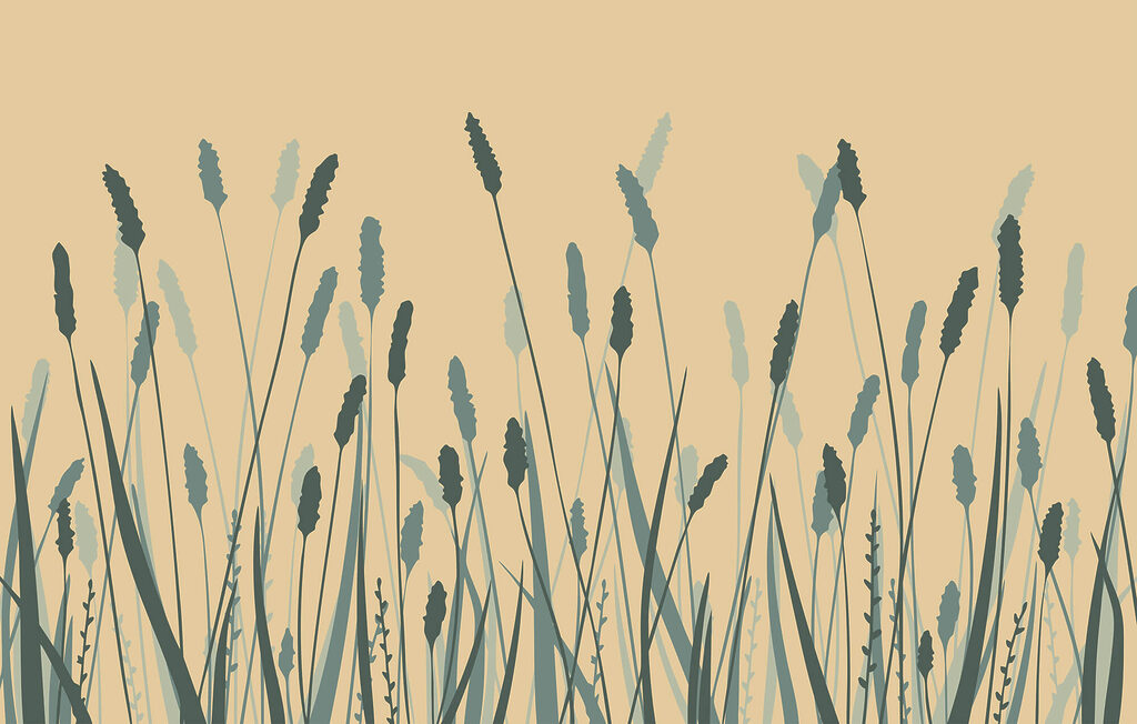 Erba e spighe — design completo