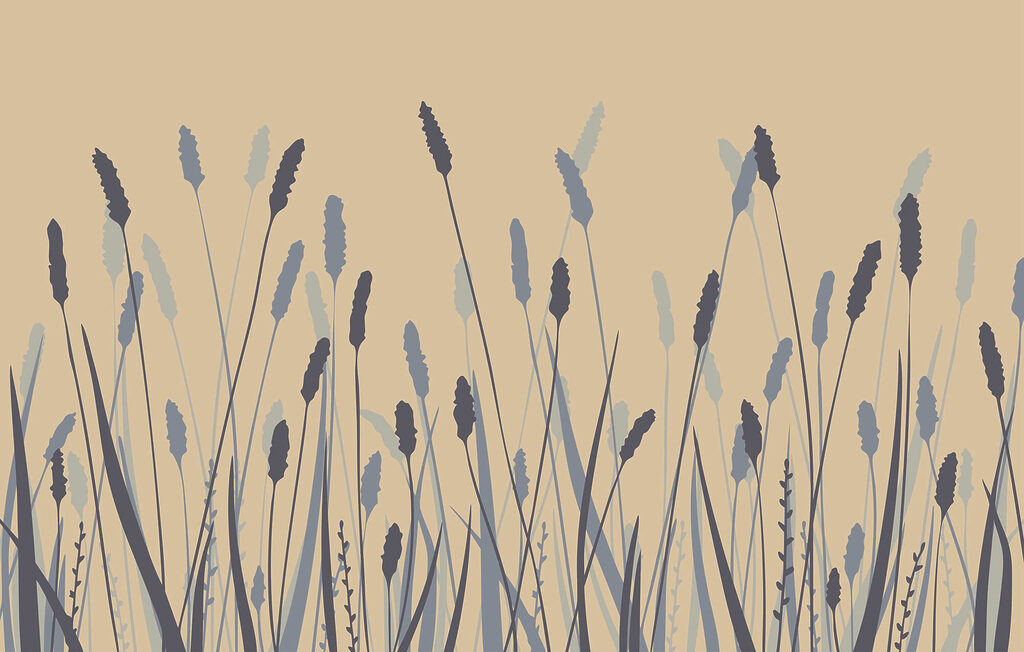 Erba e spighe — design completo