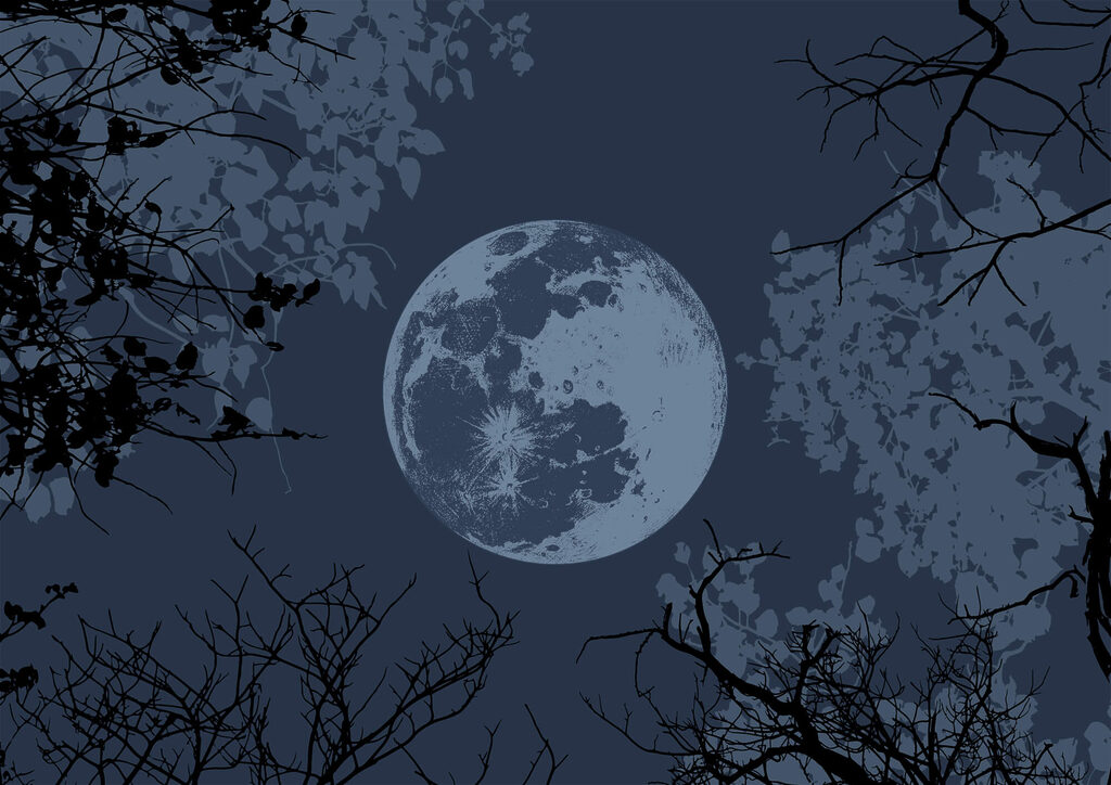 Luna tra i rami — design completo