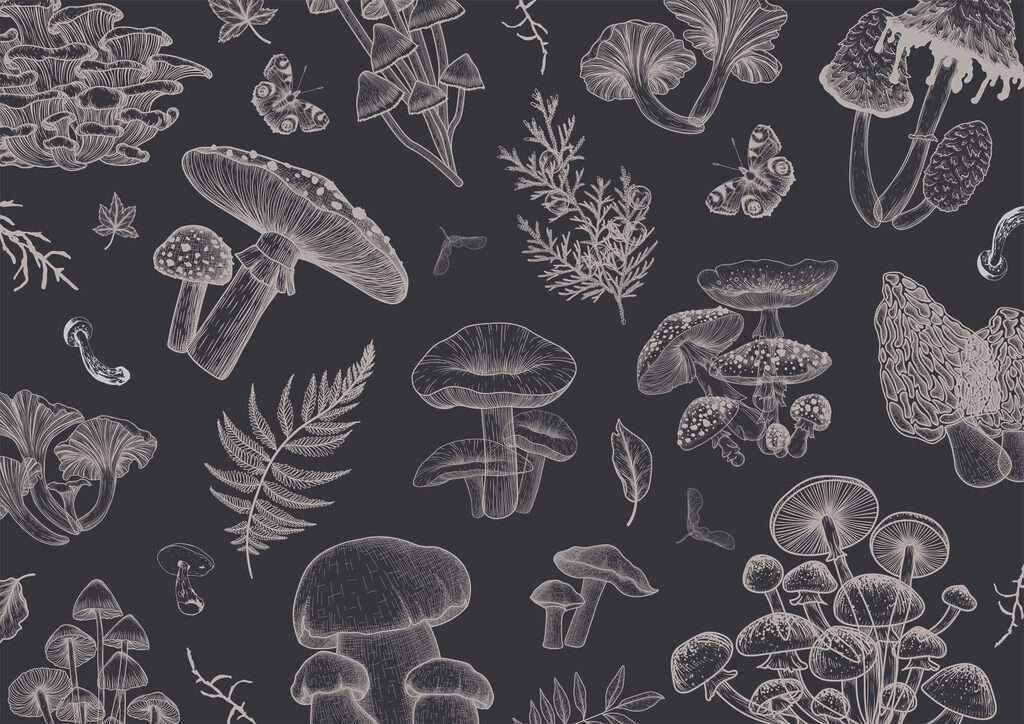 Funghi a linee sottili — design completo