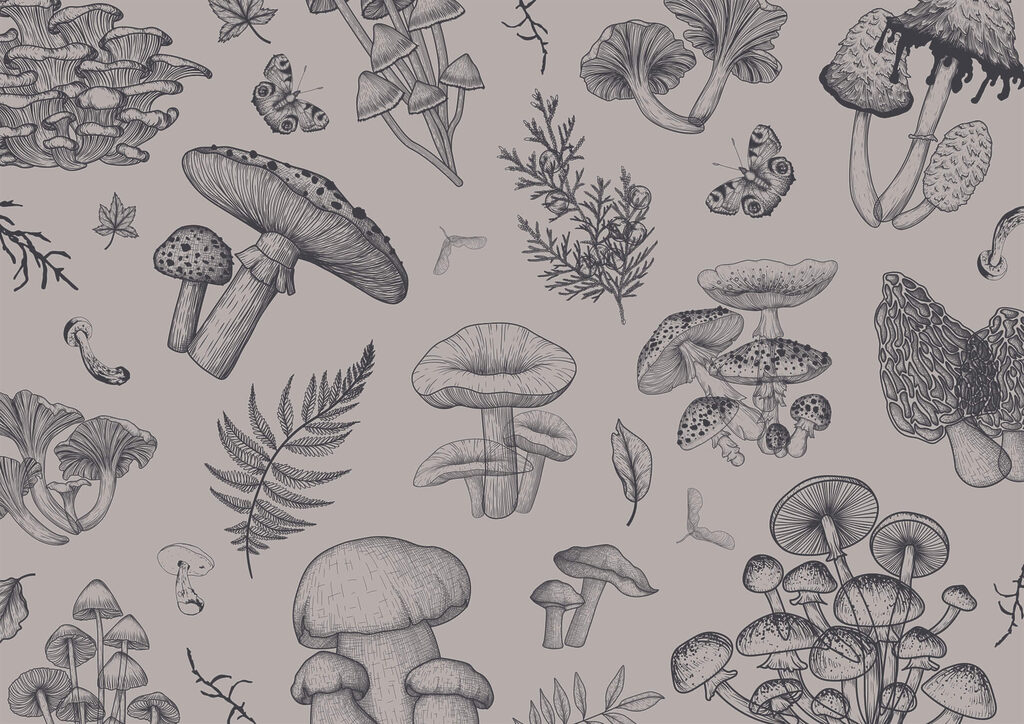 Funghi a linee sottili — design completo