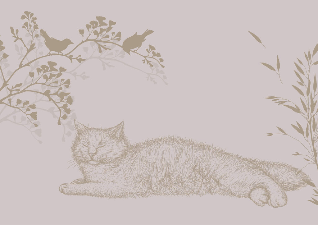 Gatto addormentato tra rami — design completo