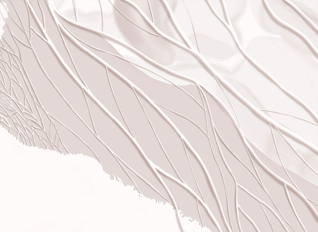 Nervature pallide e ombre — design completo