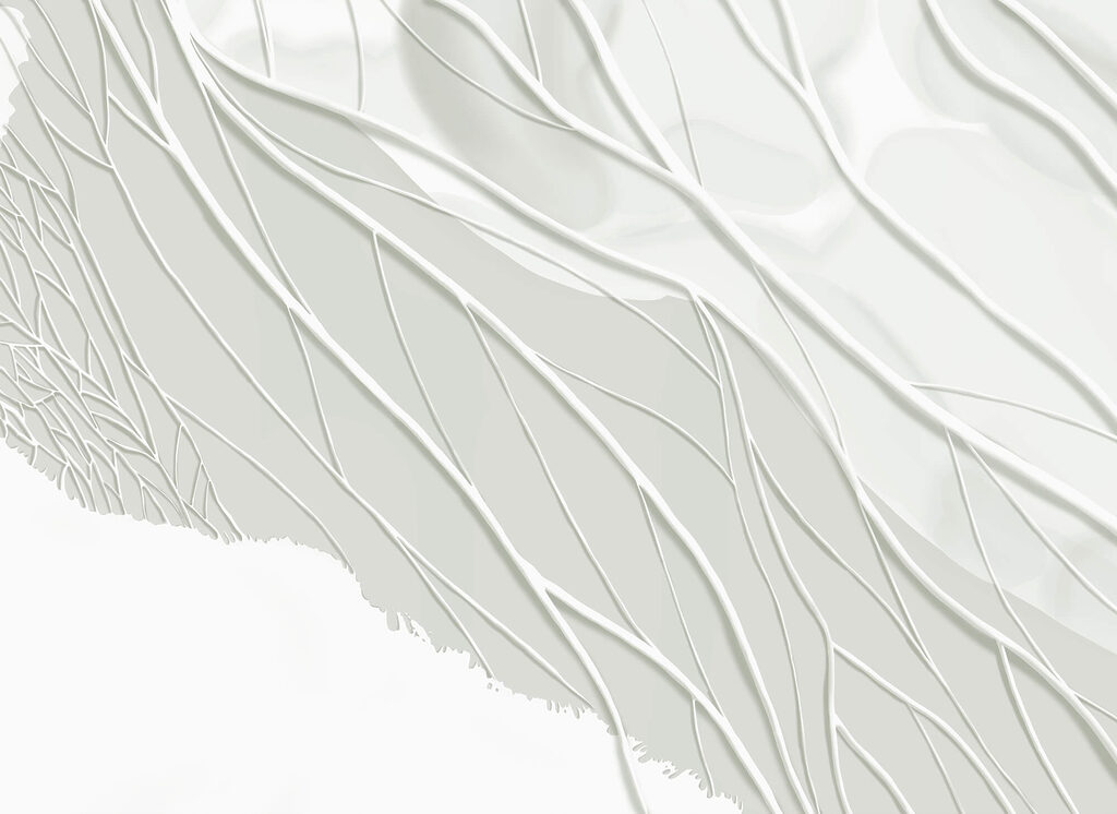 Nervature pallide e ombre — design completo