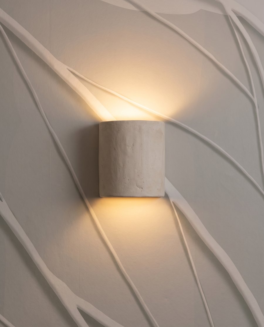 Nervature pallide e ombre — dettaglio