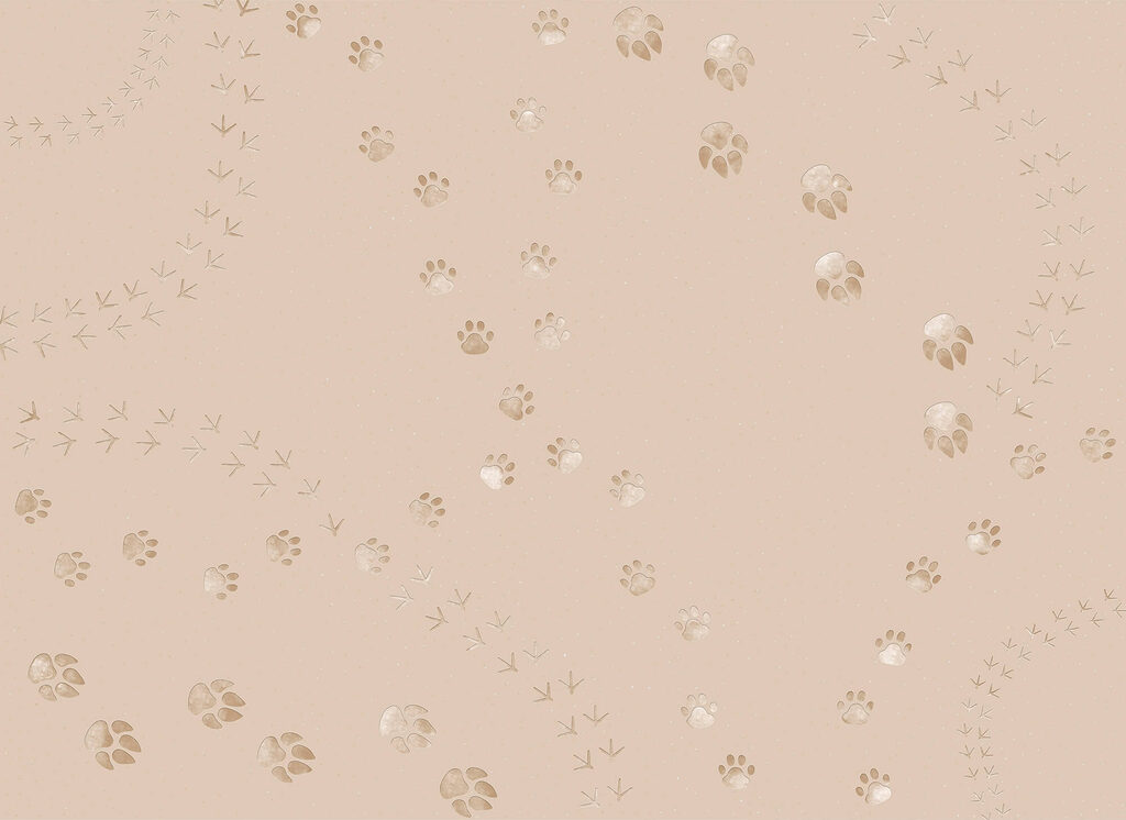 Fiorellini su archi decorativi — design completo