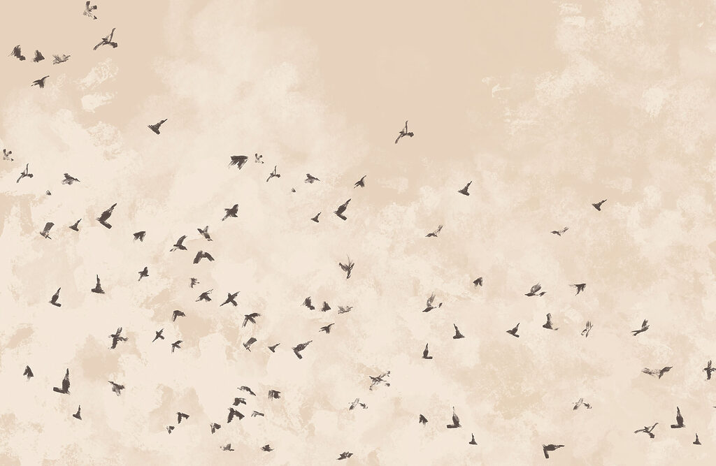 Stormo su beige — design completo