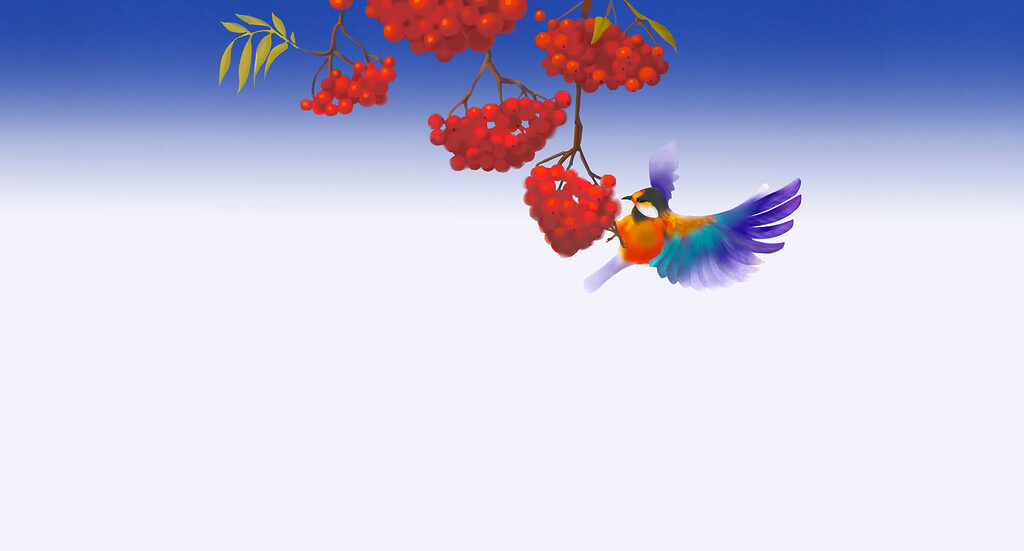 Uccello tra bacche rosse — design completo