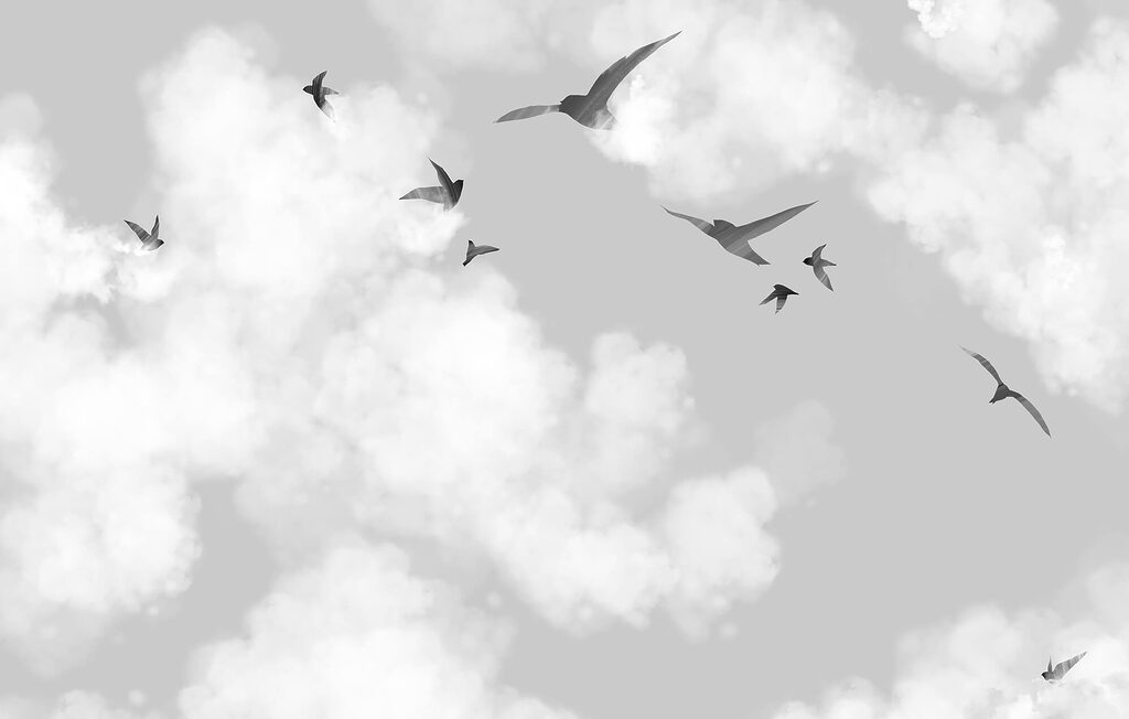 Silhouette scure in volo — design completo