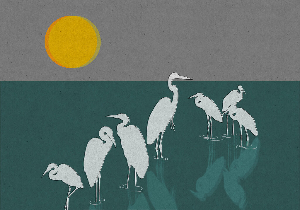Aironi sotto il sole — design completo