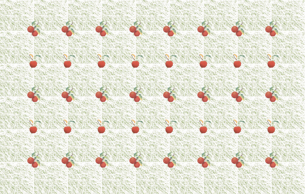 Ciliegie in quadretti — design completo