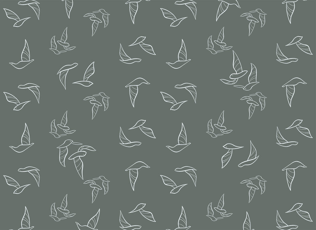 Contorni di uccelli — design completo