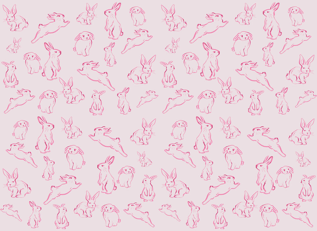Coniglietti in linee rosa — design completo