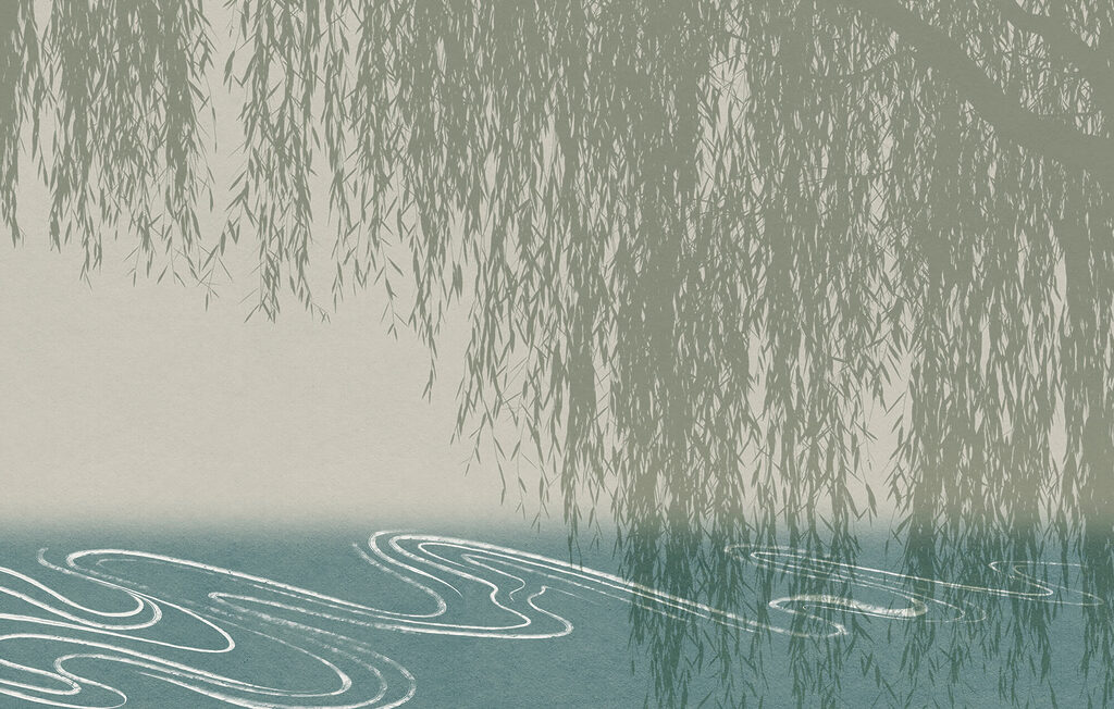 Salici sopra l’acqua — design completo