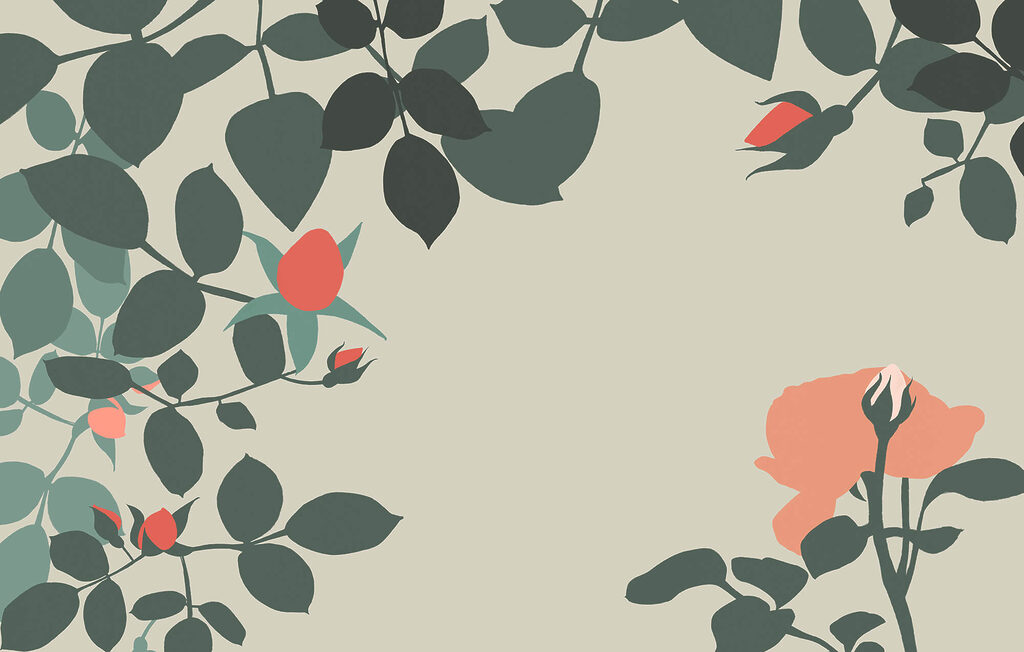 Rose attorno all’apertura — design completo