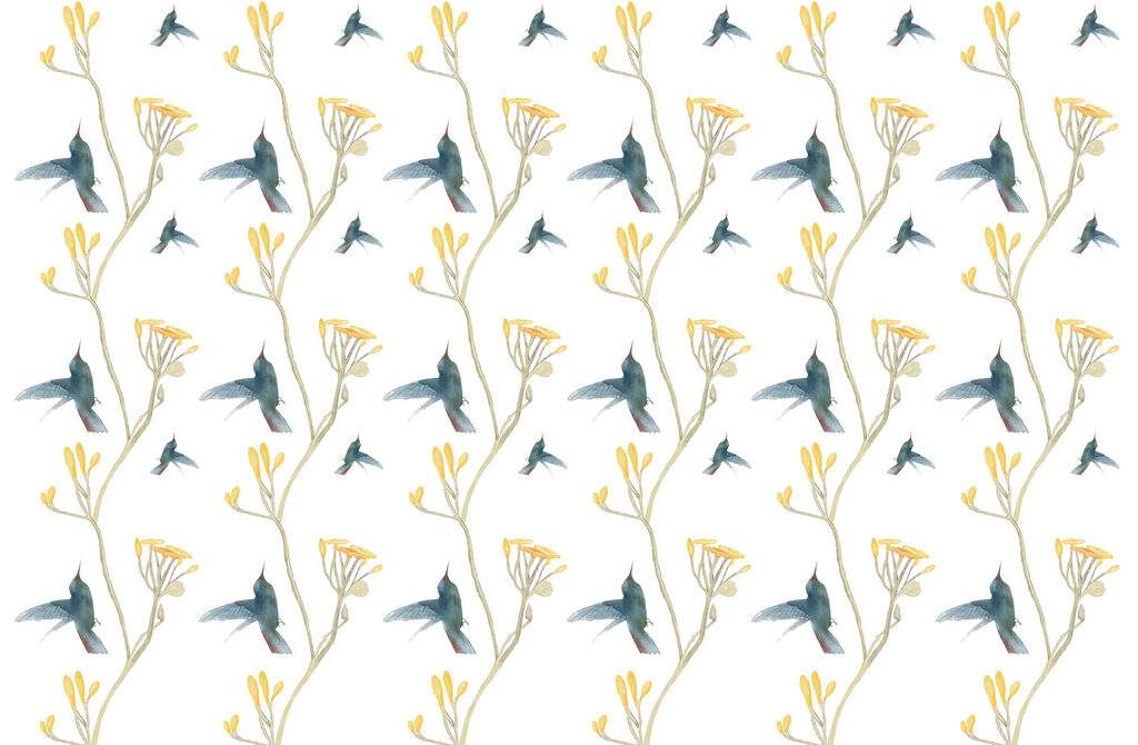 Colibrì tra fiori gialli — design completo