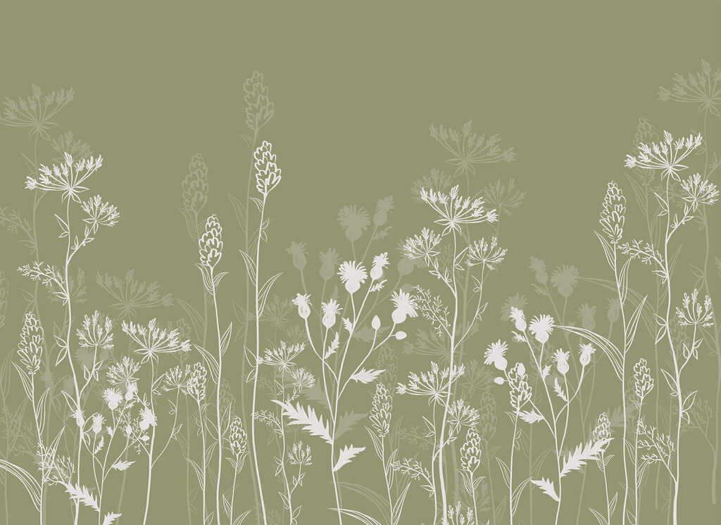 Steli alti su oliva — design completo