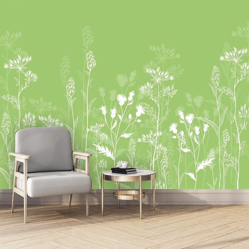 Steli alti su oliva — ambiente 2