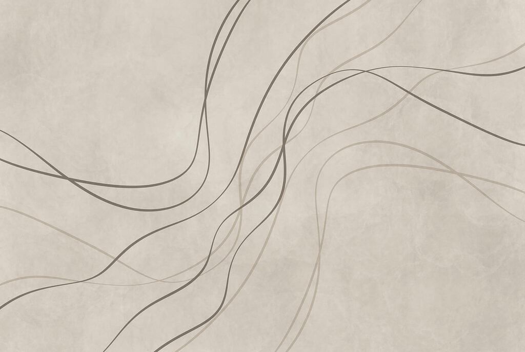Linee sottili e anelli — design completo