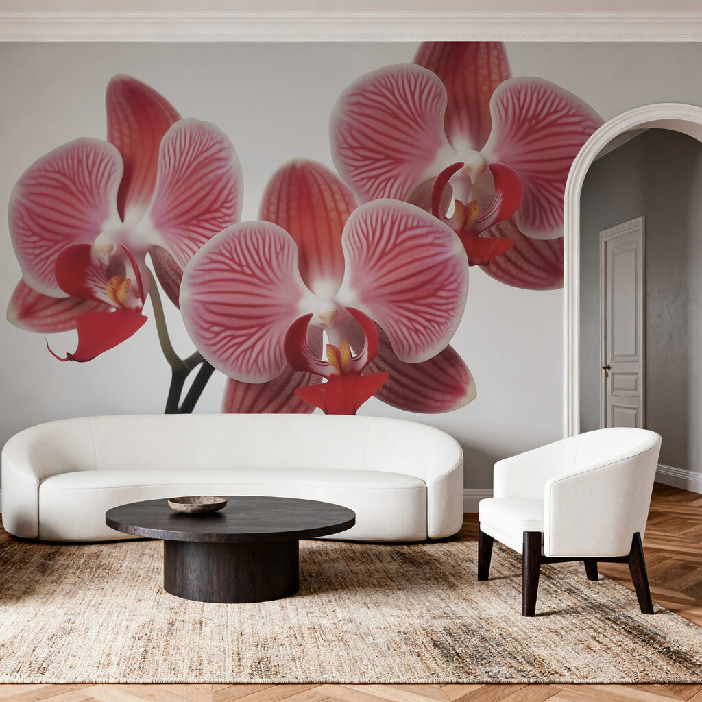 Orchidea rosa su bianco — ambiente 1