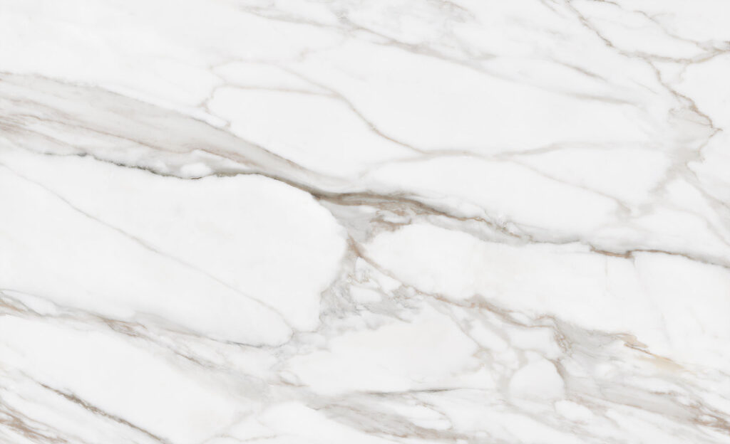 Venature grigie su bianco — design completo