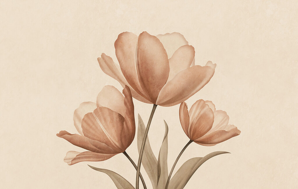 Tre tulipani — design completo