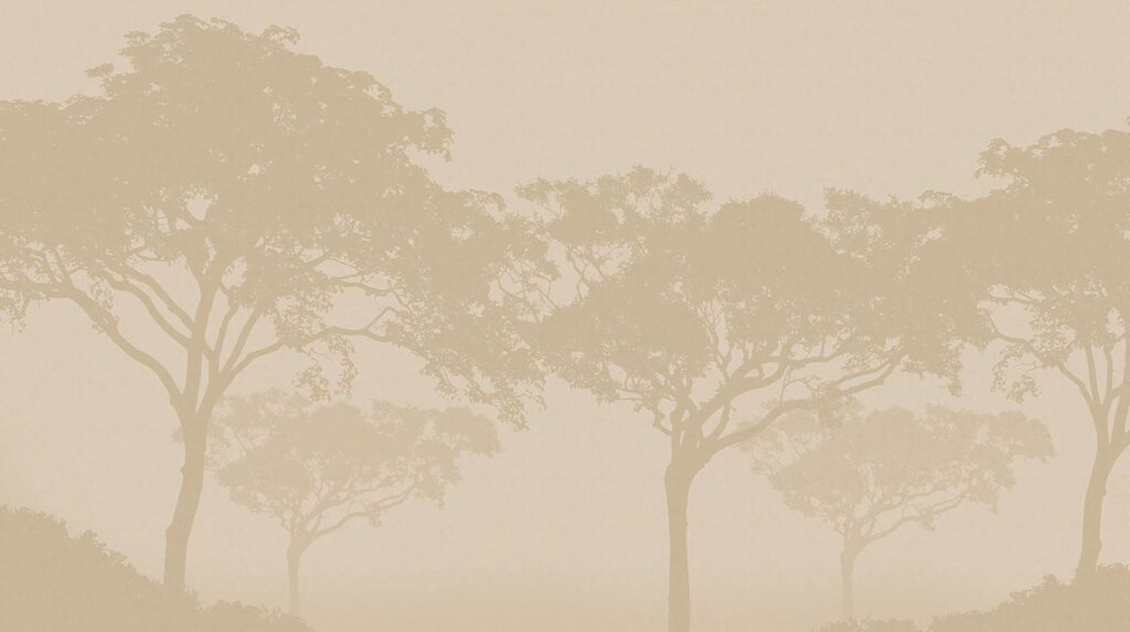 Chiome nella nebbia — design completo