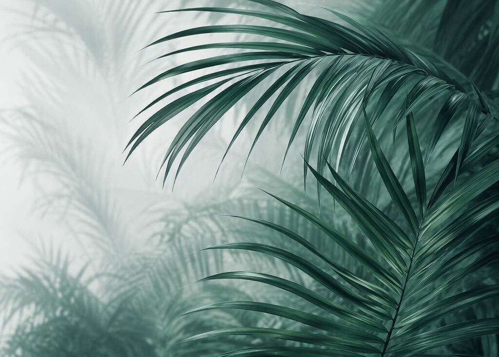 Fronde di palma turchese — design completo