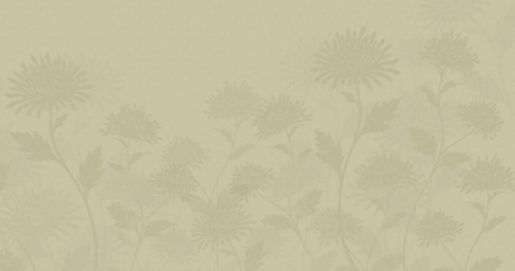 Sagome di fiori — design completo