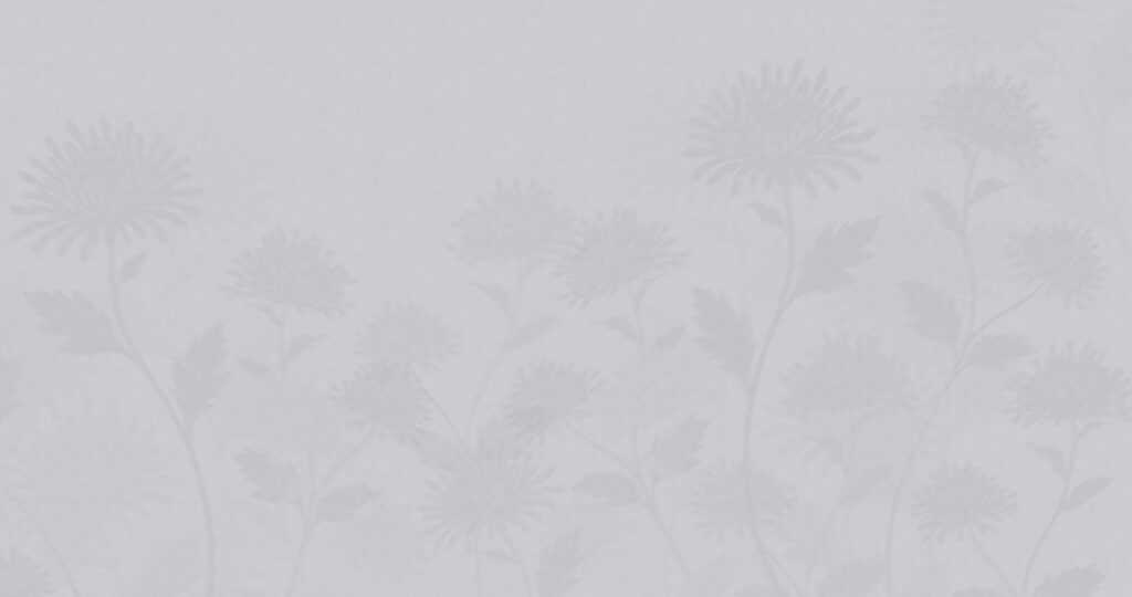 Sagome di fiori — design completo