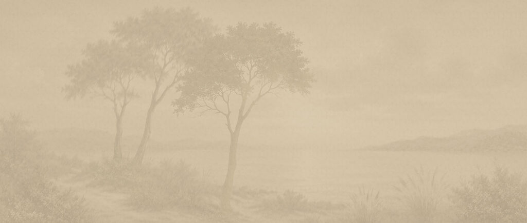 Alberi sull’acqua — design completo