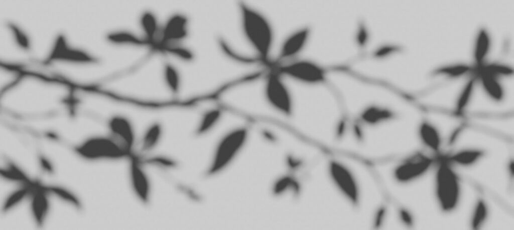 Sagome di foglie — design completo
