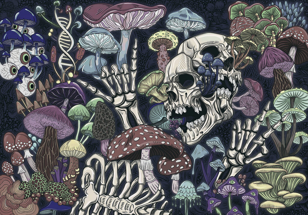 Teschio tra i funghi — design completo
